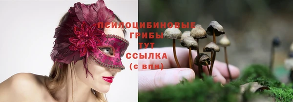 меф Алзамай