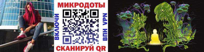 сколько стоит  Мураши  Псилоцибиновые грибы Cubensis 